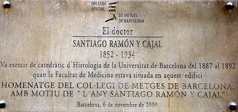 ¿Es el idioma un problema para hacer la residencia en Catalunya?