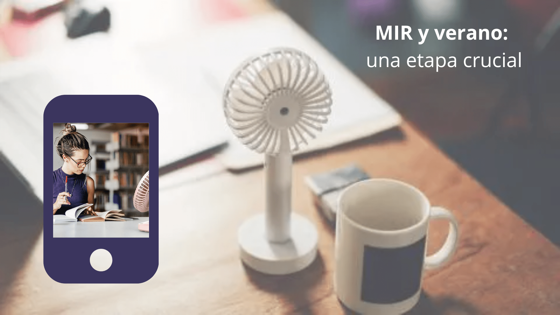 MIR y verano: una etapa crucial